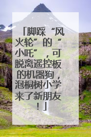脚踩“风火轮”的“小吒”，可脱离遥控板的机器狗，泡桐树小学来了新朋友！